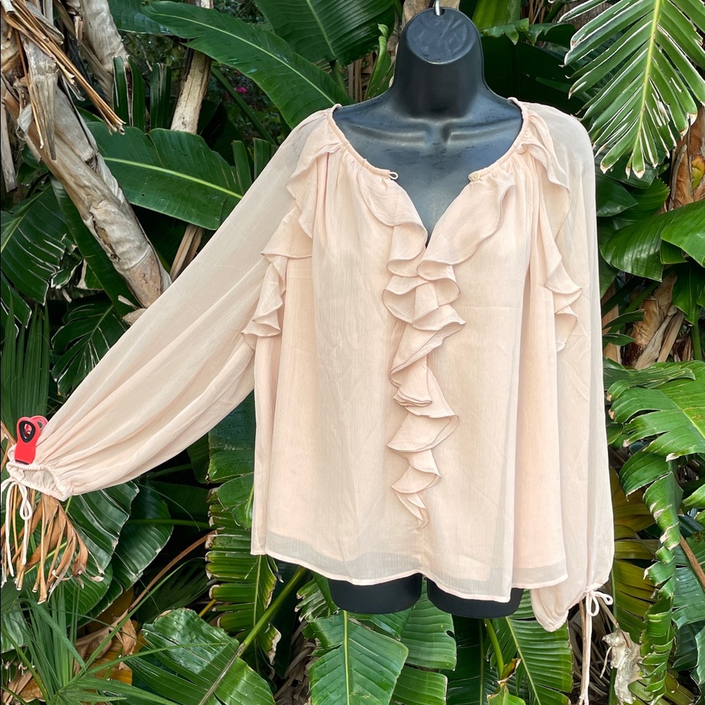 soft, pink i Ruffled balloon sleeve sheer blouse